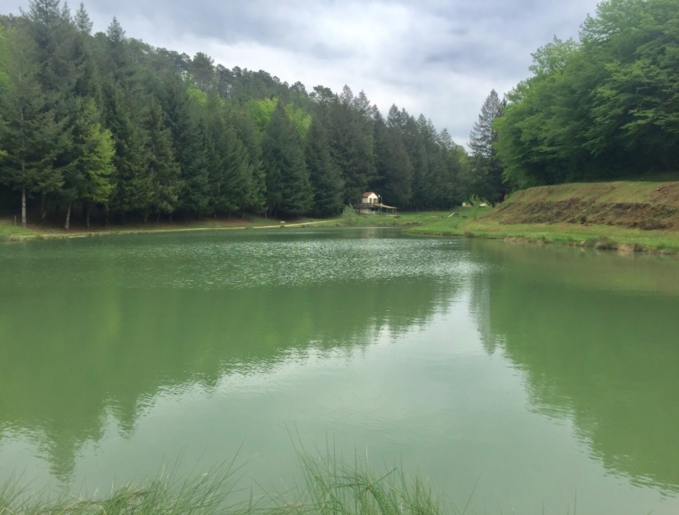 Little lake in France (Prats du Périgord)
